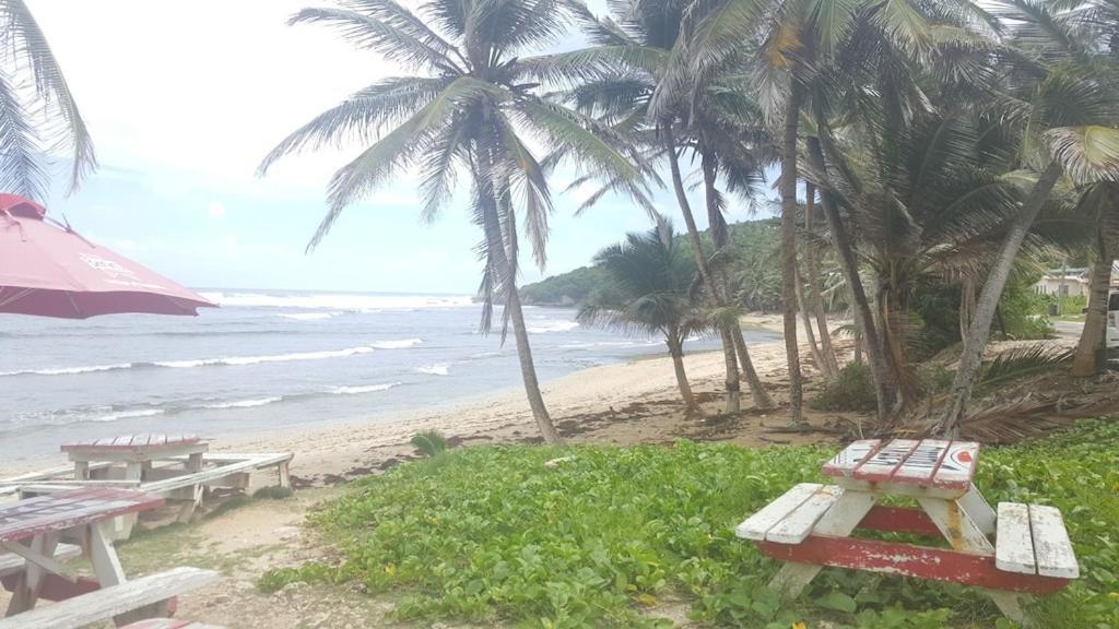 Donamae 2 Story Barbados House Villa Bridgetown Bagian luar foto